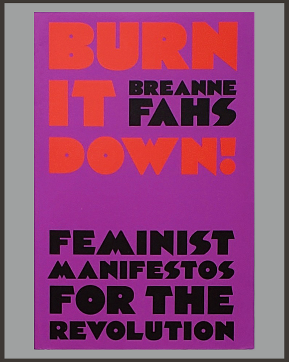 Burn It Down!-Breanne Fahs