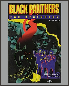 Black Panthers For Beginners-Herb Boyd & Lance Tooks