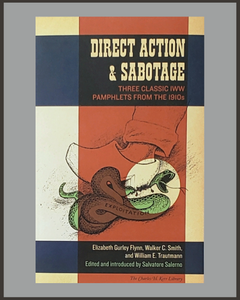 Direct Action & Sabotage-Salvatore Salerno