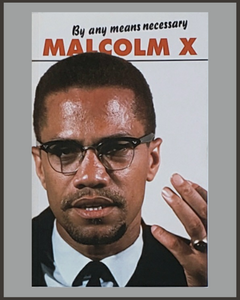 By Any Means Necessary-Malcolm X