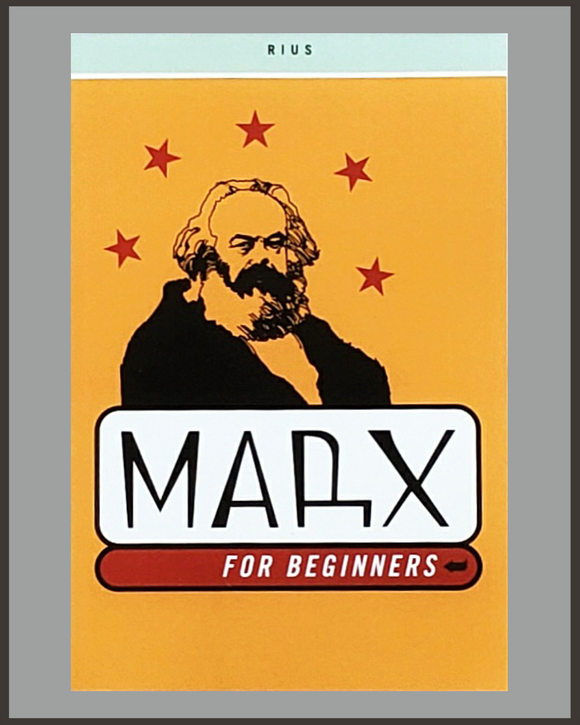 Marx For Beginners-Rius