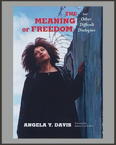 The Meaning Of Freedom-Angela Y. Davis
