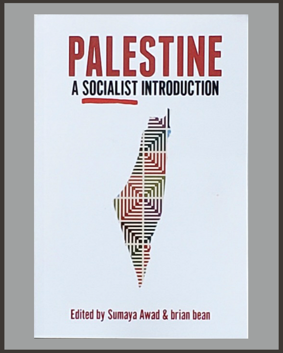 Palestine: A Socialist Introduction-Sumaya Awad & Brian Bean