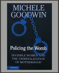 Policing The Womb-Michele Goodwin